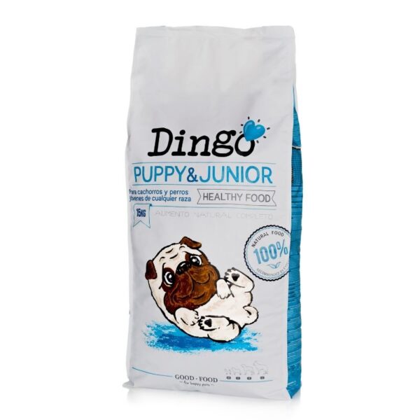Dingo-puppy-15kg.jpg