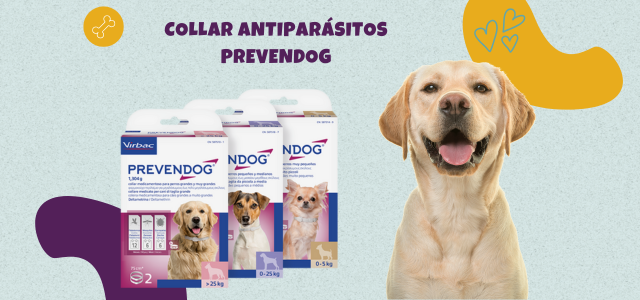 Collar antiparásitos prevendog (640 x 300 px)