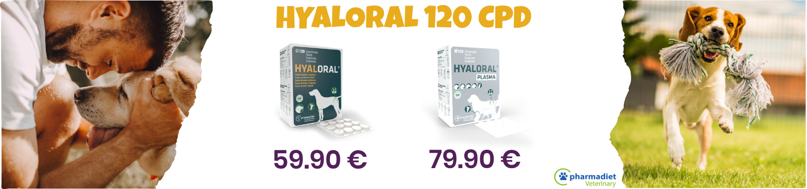Oferta HYALORAL